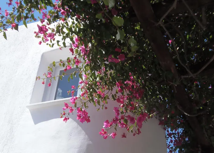 Manos 2* Νάουσα